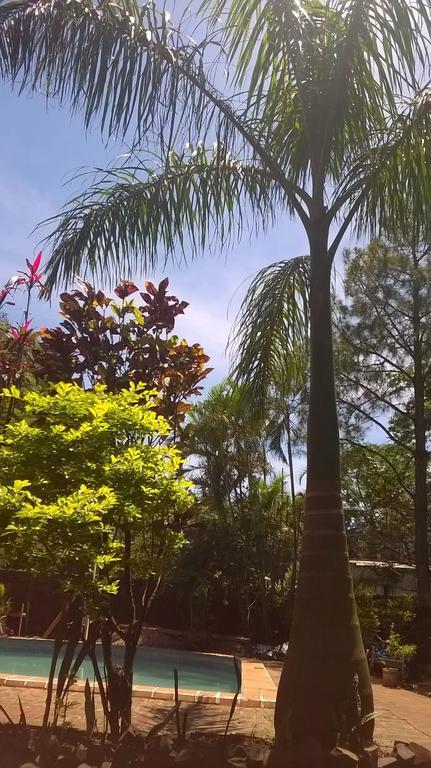 Petit Hotel Caraguata Puerto Iguazú Eksteriør bilde