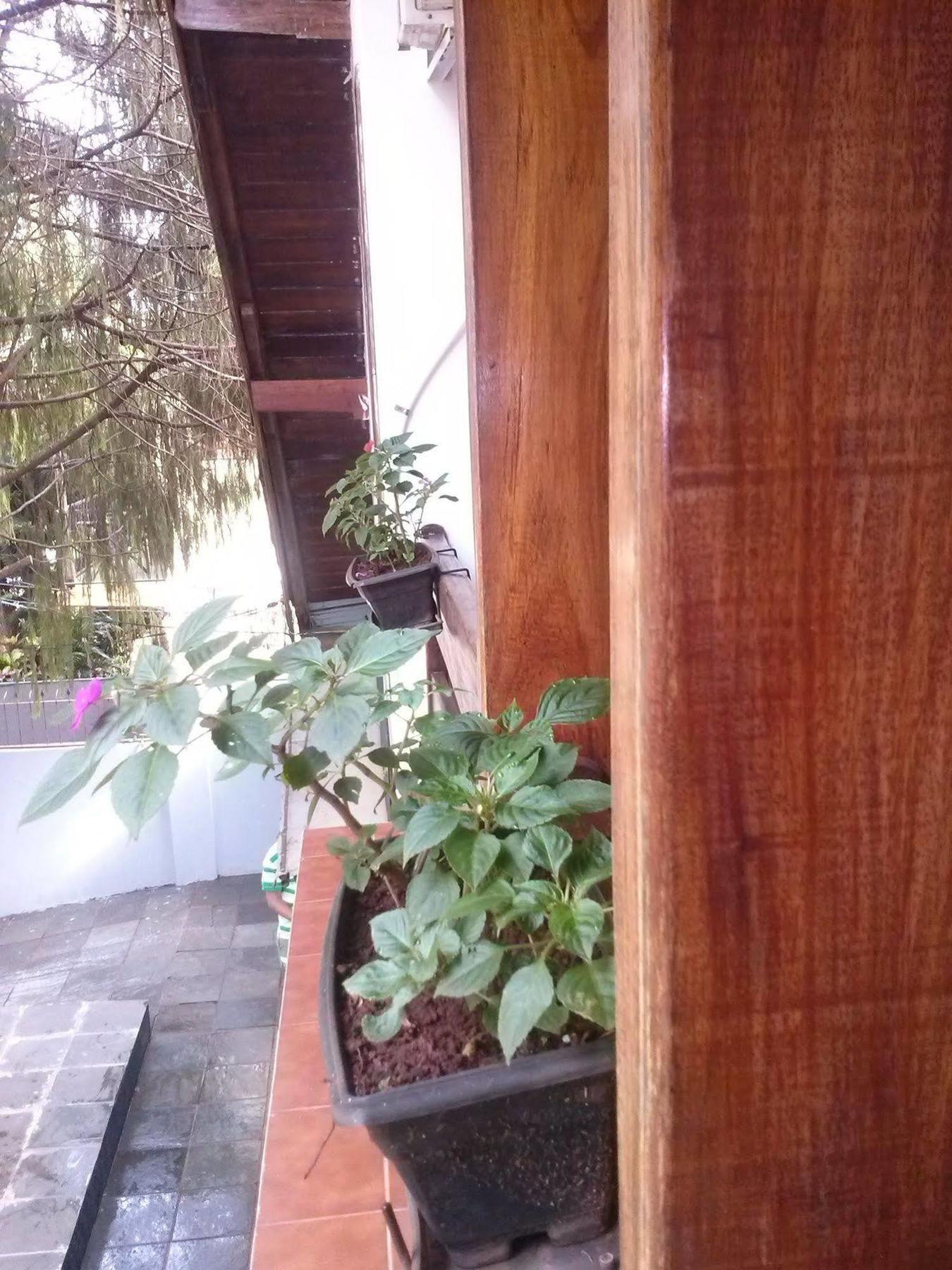 Petit Hotel Caraguata Puerto Iguazú Eksteriør bilde